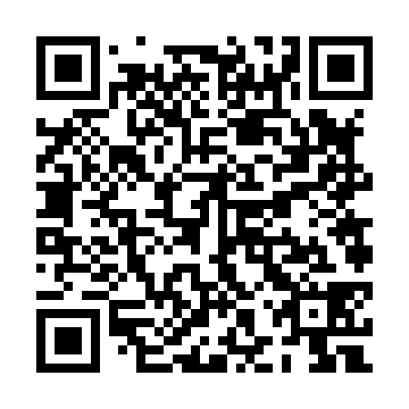 QR code for plate PHV 838