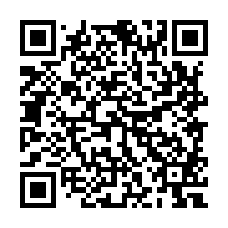 QR code for plate PHX 981