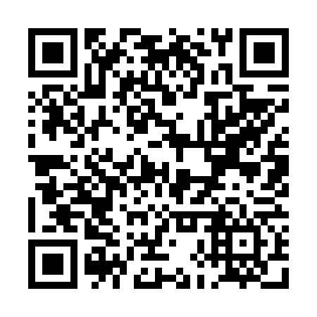 QR code for PHY 666