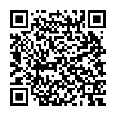QR code for PID 272