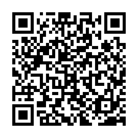 QR code for PIF 333