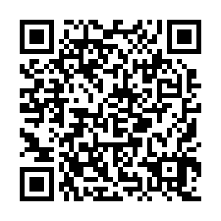 QR code for PII 207