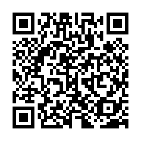 QR code for plate PII 038