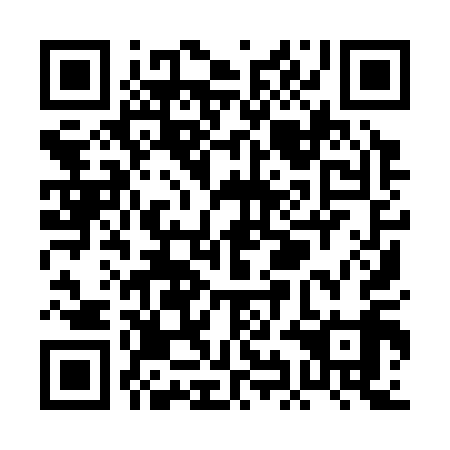 QR code for PII319