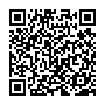QR code for PII675