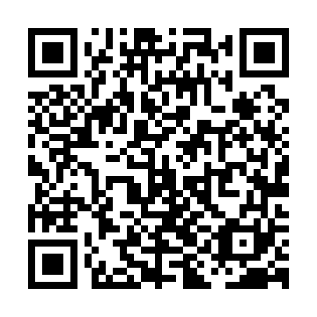 QR code for plate PIL 161