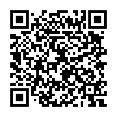 QR code for PIM 411