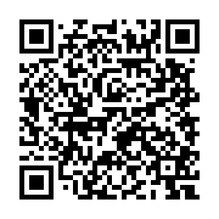 QR code for PIN 501