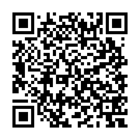 QR code for plate PIN 358