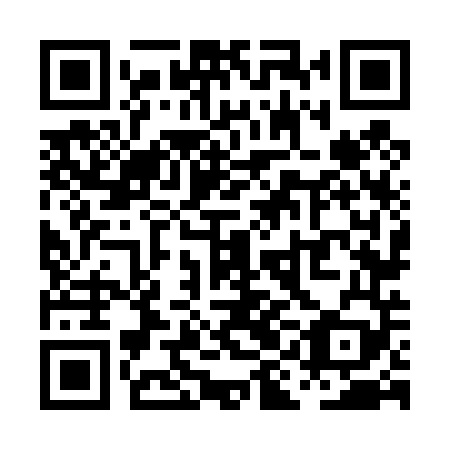 QR code for PIN449