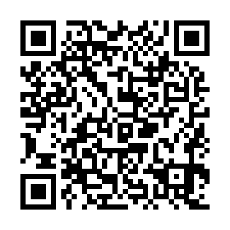 QR code for PIN971