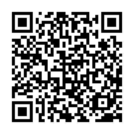 QR code for PIP 301