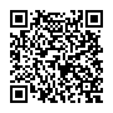 QR code for PIR 513