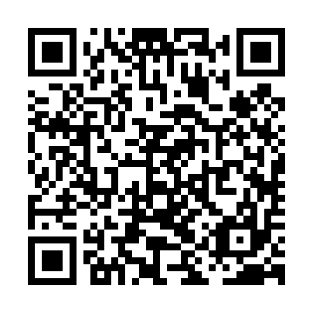 QR code for plate PIR 417