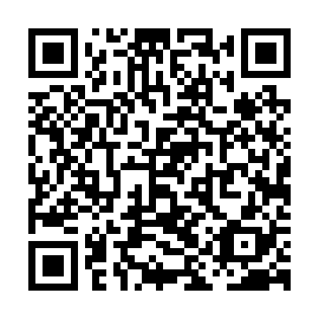 QR code for PIT 228