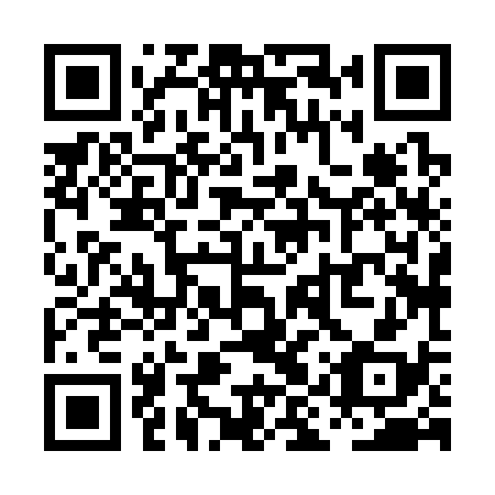 QR code for PIX 338