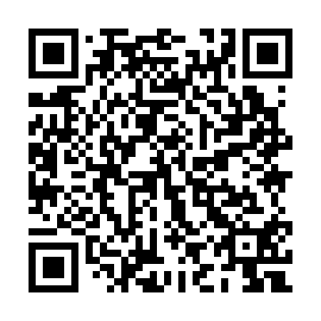 QR code for plate PIY 310