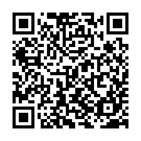 QR code for PJC 384