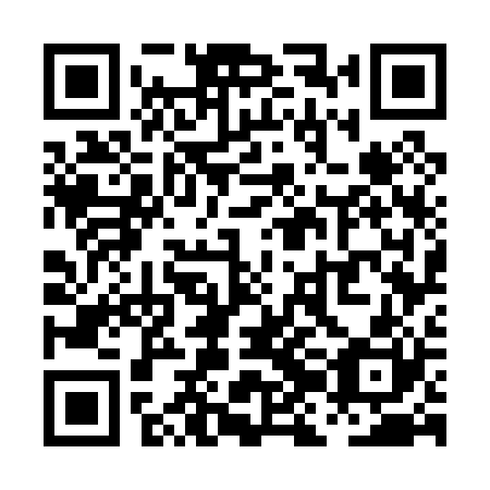 QR code for plate PJG 020