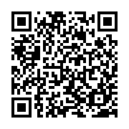QR code for PJG384