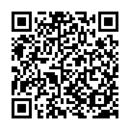 QR code for plate PJK 381