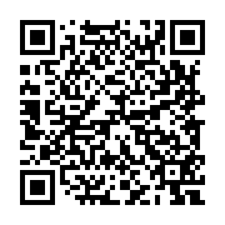 QR code for PJL951