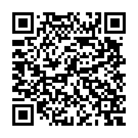 QR code for PJO463