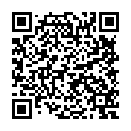 QR code for plate PJP 813