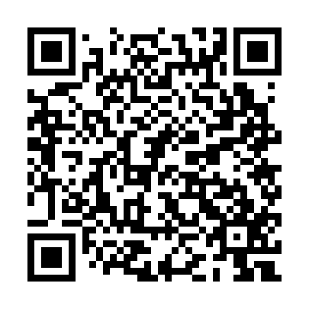 QR code for plate PKG 317