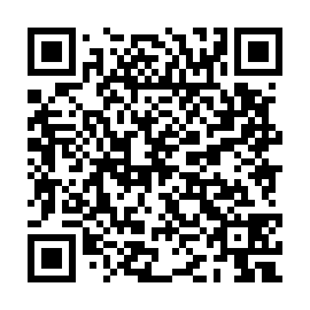 QR code for PKH538
