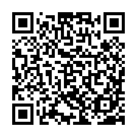 QR code for plate PKJ 080
