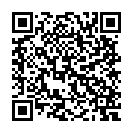 QR code for PKK 541