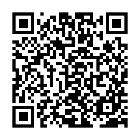 QR code for plate PKK 387
