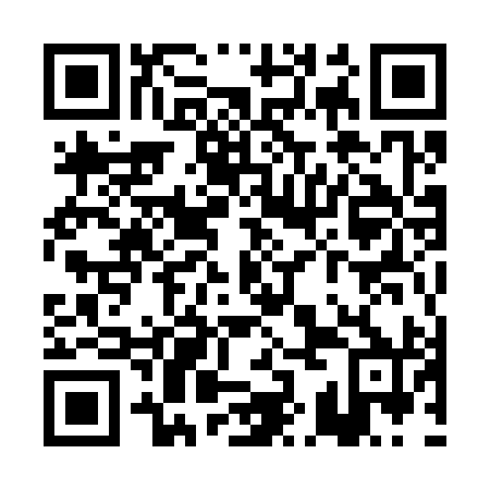 QR code for PKM 390