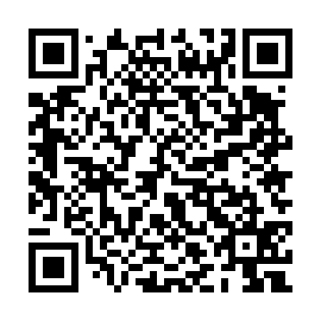 QR code for plate PLE 435