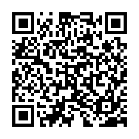 QR code for PLG337