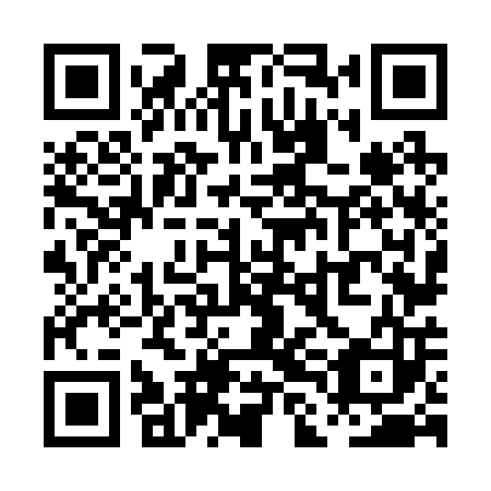 QR code for PLN 203