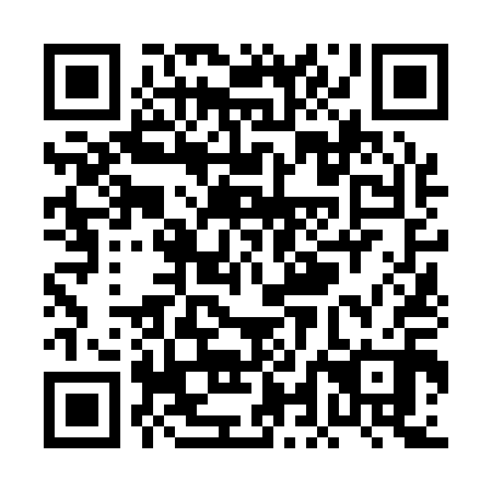 QR code for PLN110