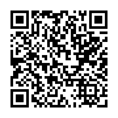 QR code for plate PLQ 493
