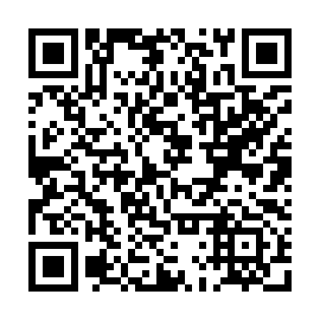 QR code for PLR993