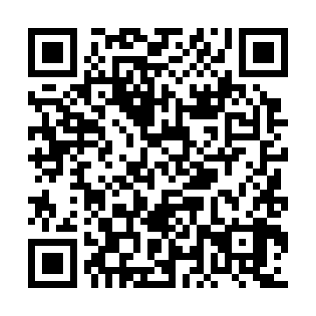 QR code for plate PLT 388