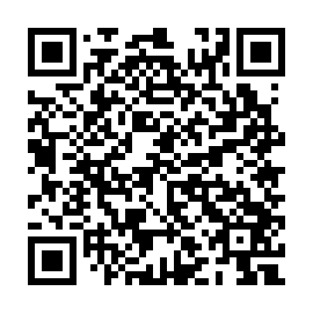 QR code for PLU343