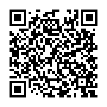 QR code for PLW509