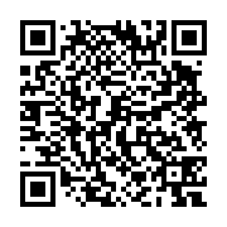 QR code for PMP 438