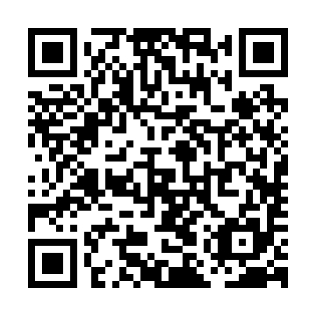 QR code for PMR 295