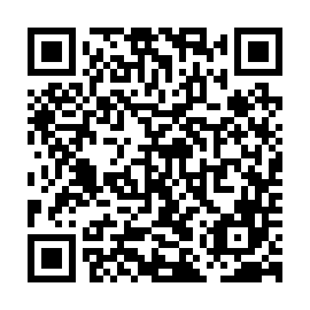 QR code for PMS 246