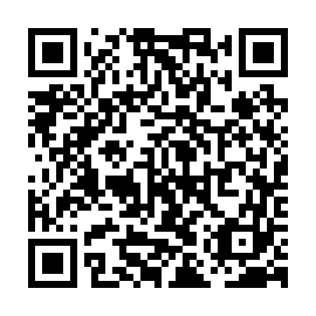 QR code for PMS 263
