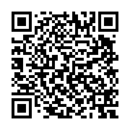 QR code for PMS 419