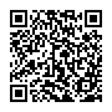 QR code for plate PMS 242
