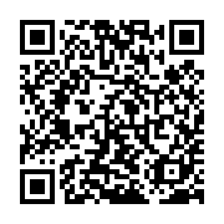 QR code for plate PMS 481